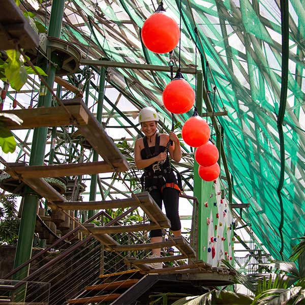 mid zoom cairns zoom wildlife dome